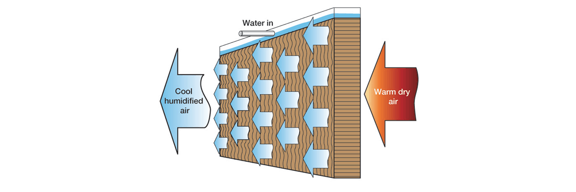 Evaporative Humidifier